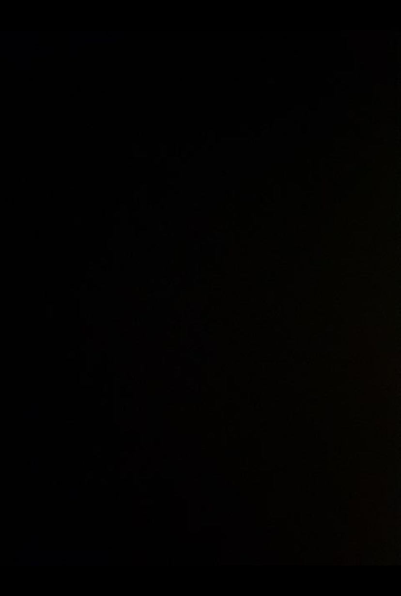 Herstal Design  VIP/Loops væglampe